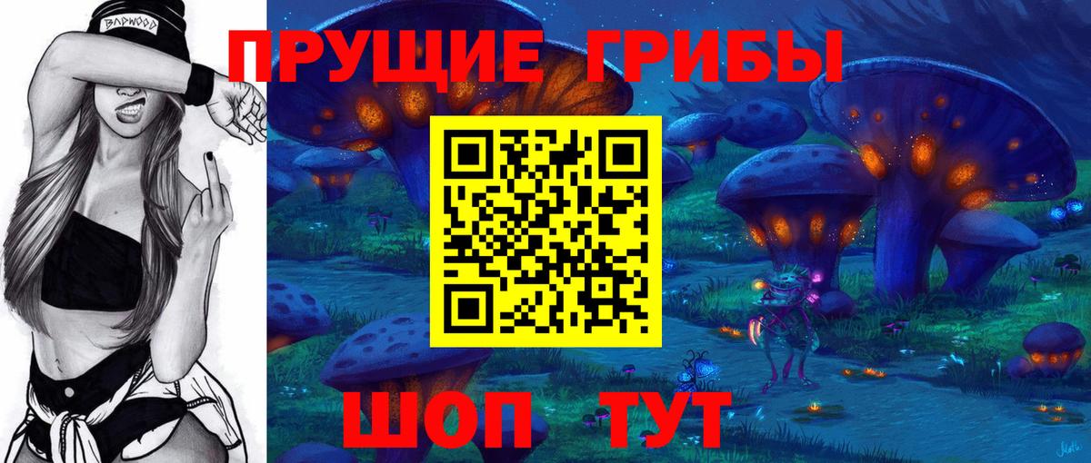 Мариинск  Псилоцибиновые грибы MAGIC MUSHROOMS  Вход с VPN 